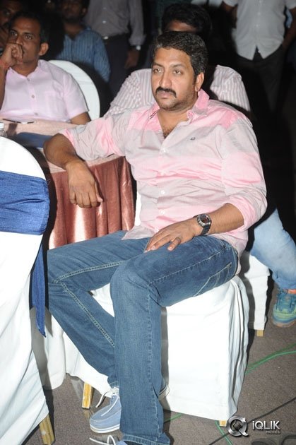 365-Days-Movie-Audio-Launch